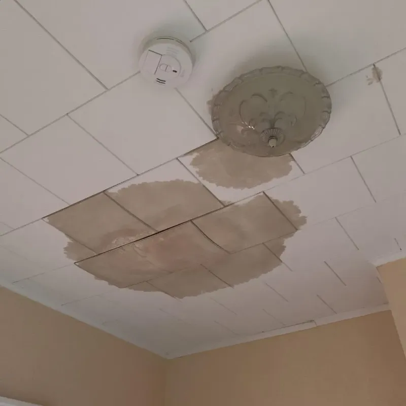Ceiling Water Damage Repair in Bret Harte, CA
