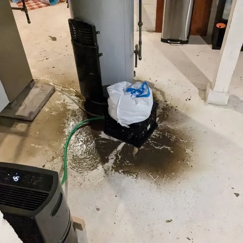 Sewage Backup Cleanup Service in Bret Harte, CA